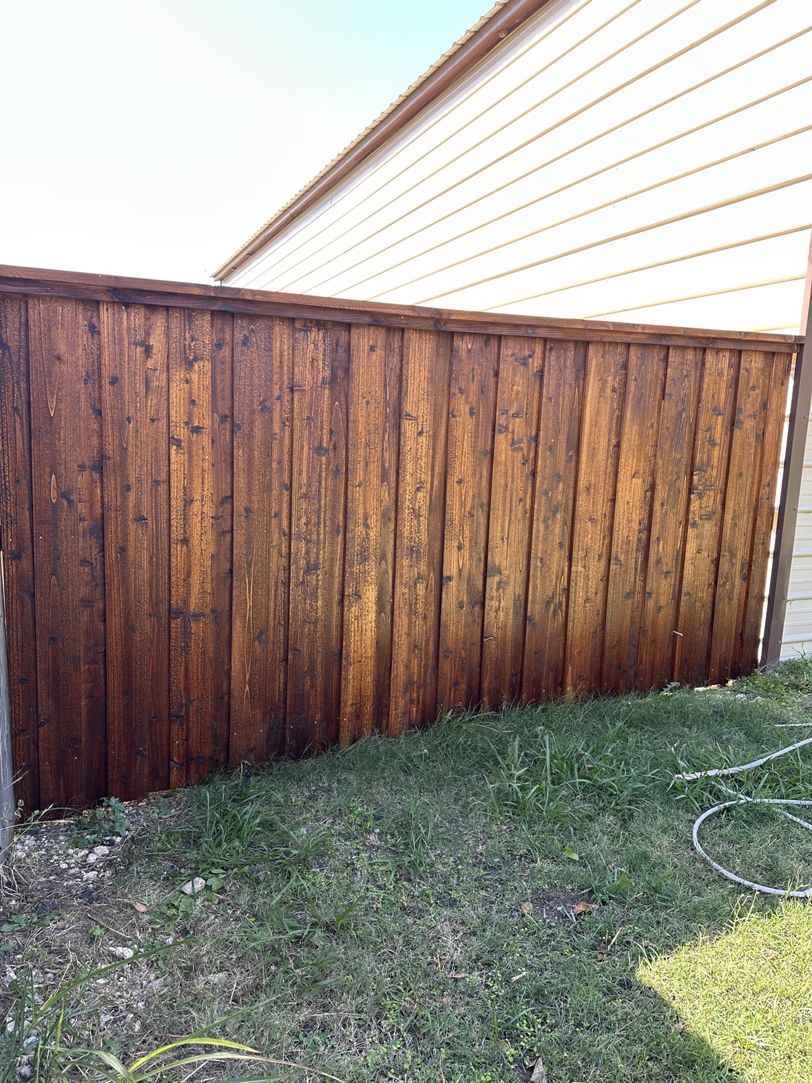 Board-on-board cedar fence with rich even stain in Fort Worth TX