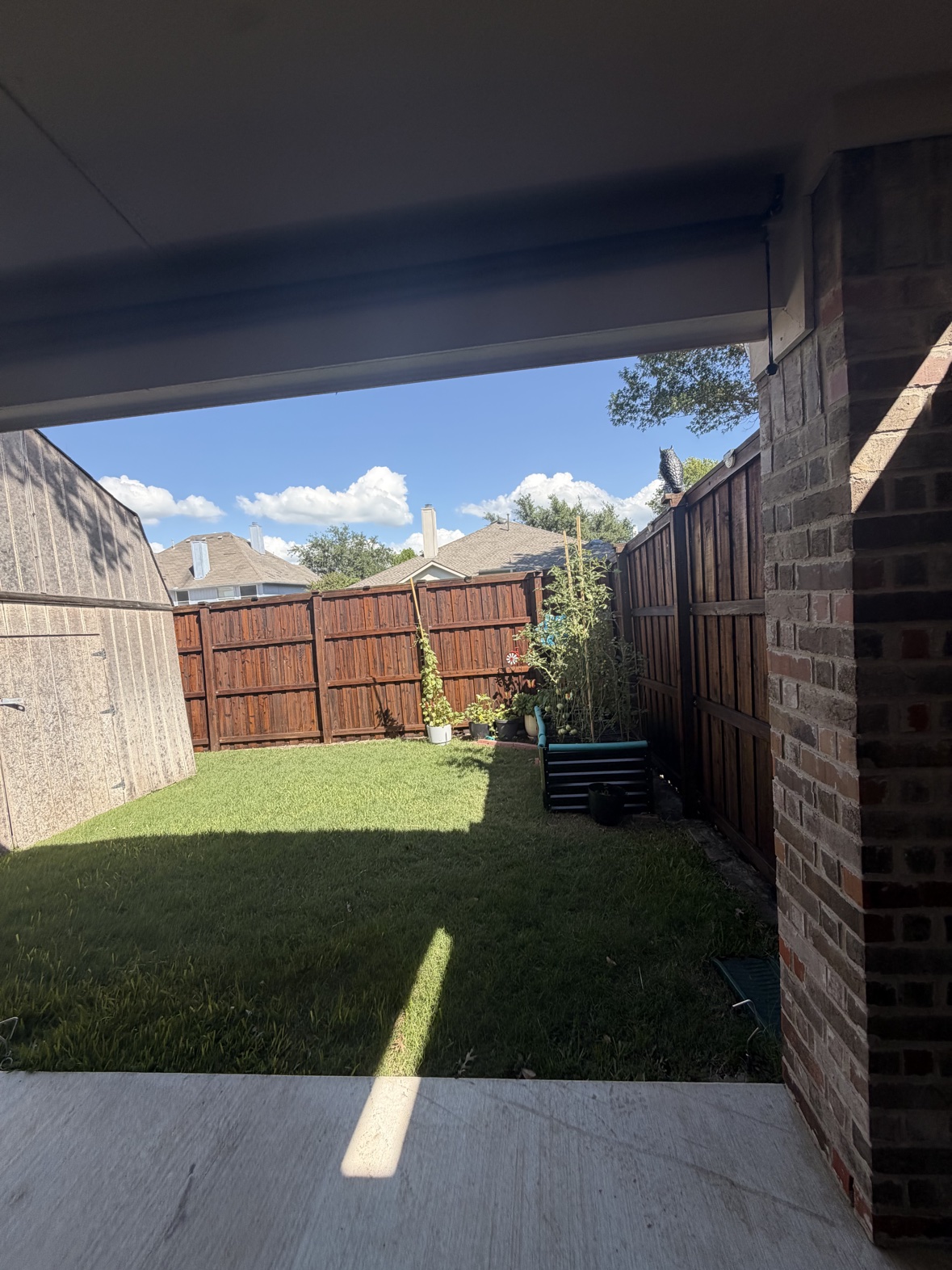 Backyard with freshly stained wooden fence in Fort Worth TX